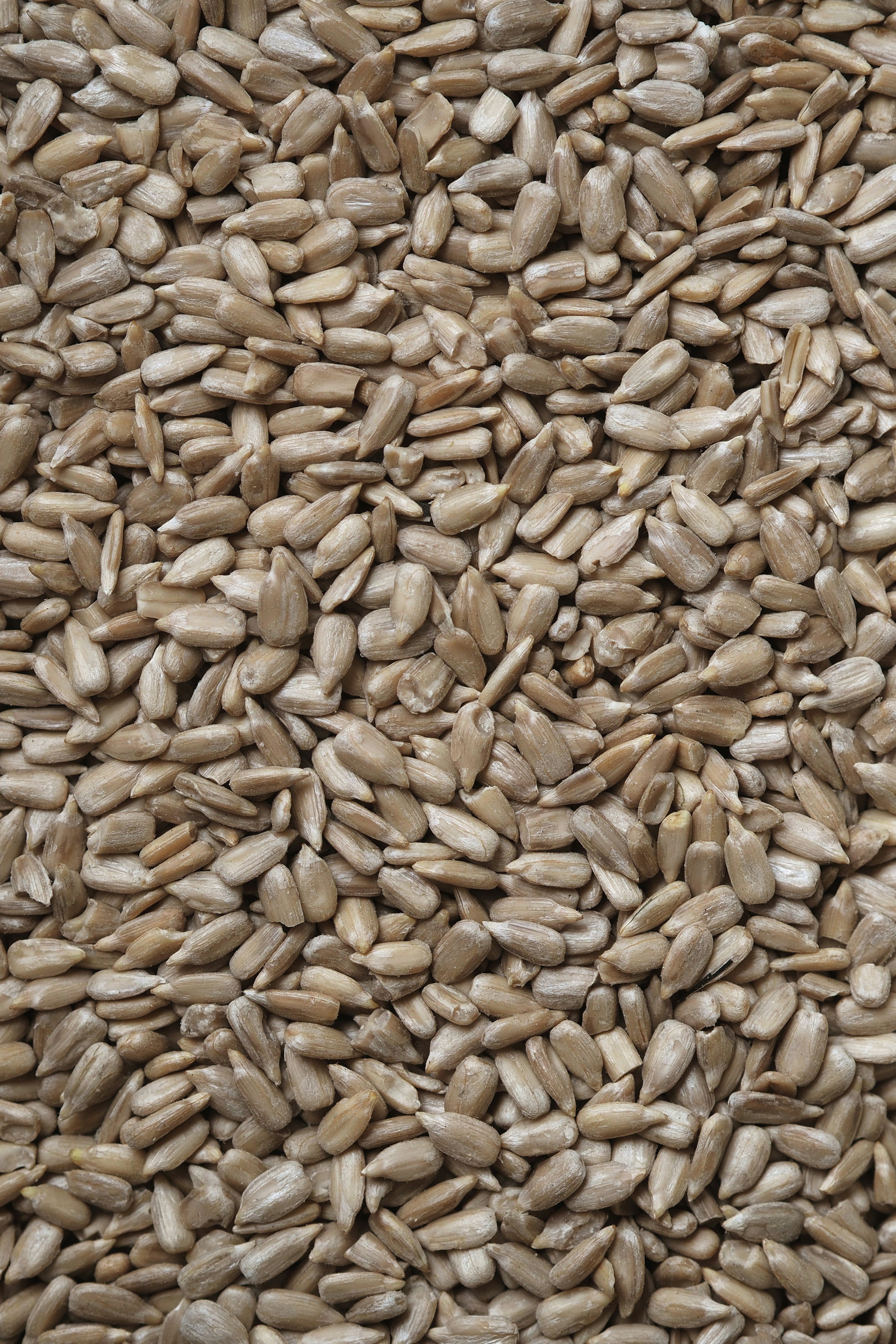 Sunflower Seeds 500g